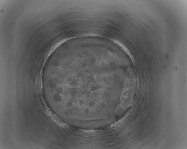 X0000082721031200702091807