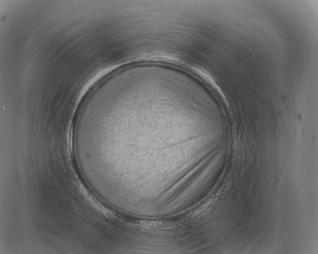 X0000082721032200702091807