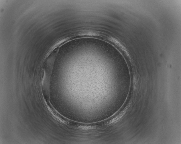 X0000082721033200702091807