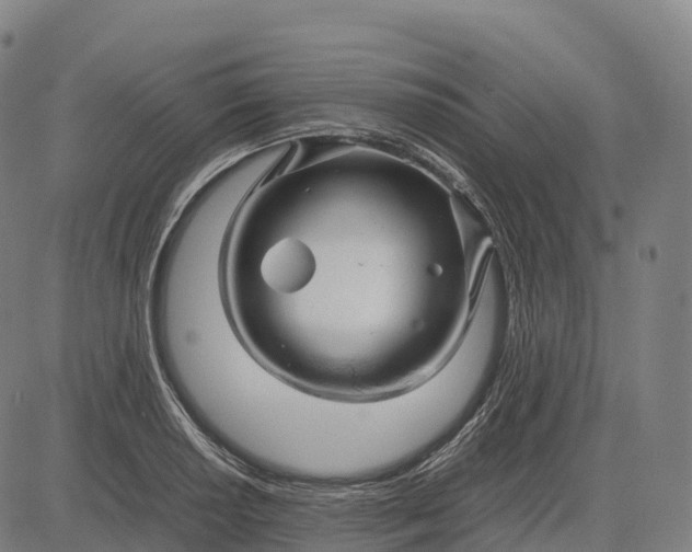 X0000082721034200702091807