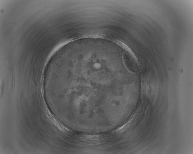 X0000082721035200702091807