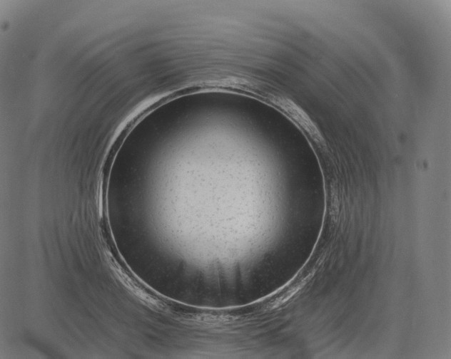 X0000082721036200702091807