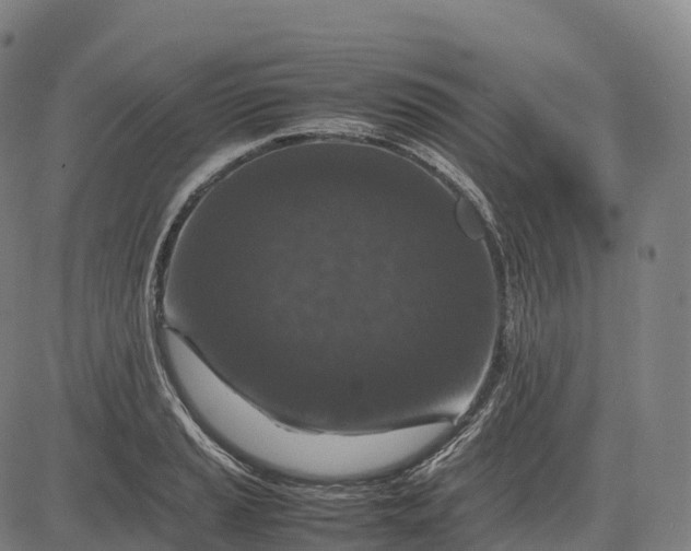 X0000082721037200702091807