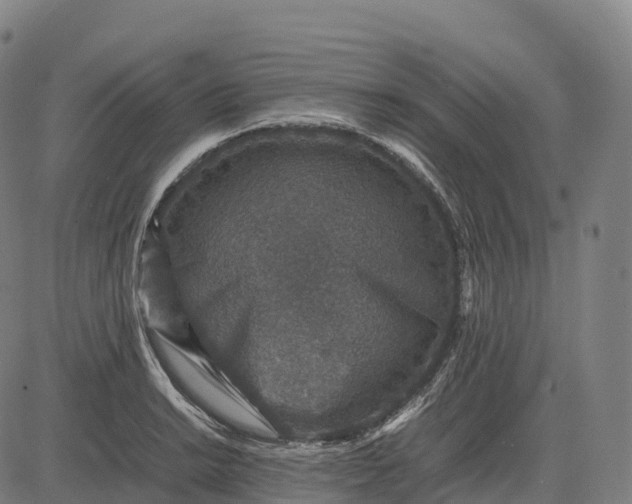 X0000082721038200702091807