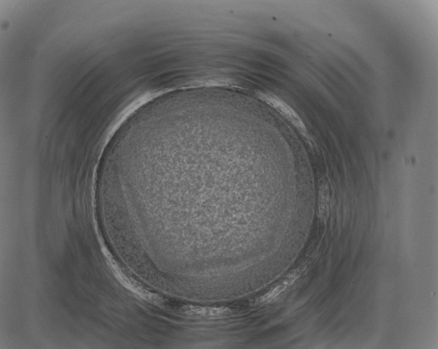 X0000082721039200702091807