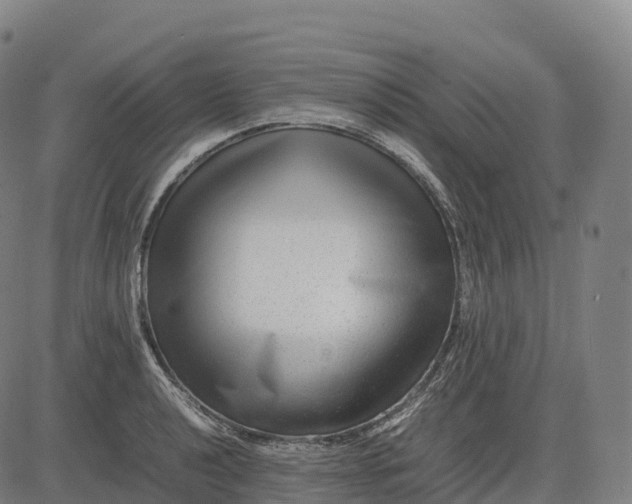 X0000082721040200702091807