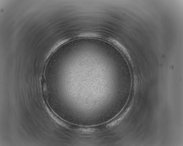 X0000082721041200702091807