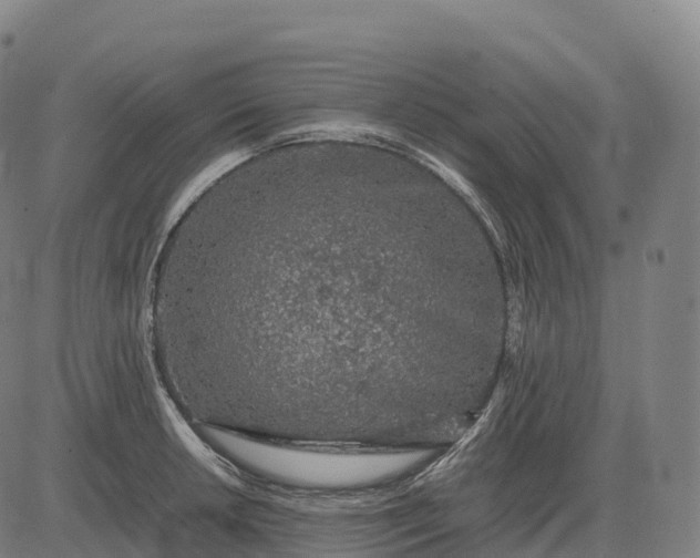 X0000082721042200702091808