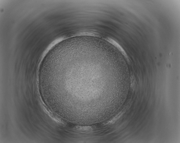 X0000082721043200702091808