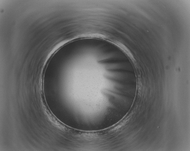 X0000082721044200702091808