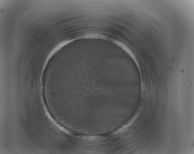 X0000082721045200702091808