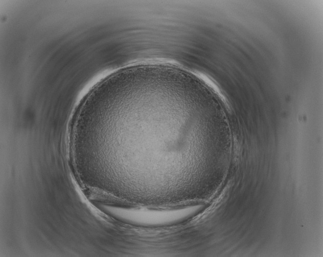 X0000082721046200702091808