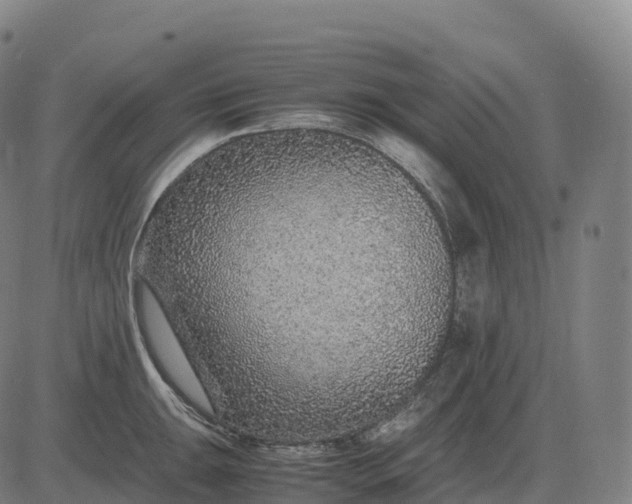 X0000082721047200702091808