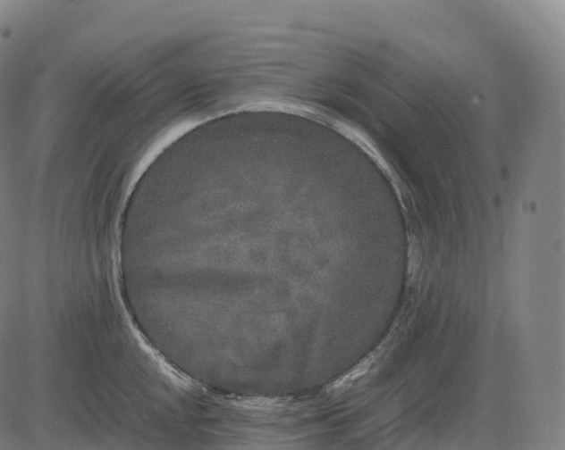 X0000082721048200702091808