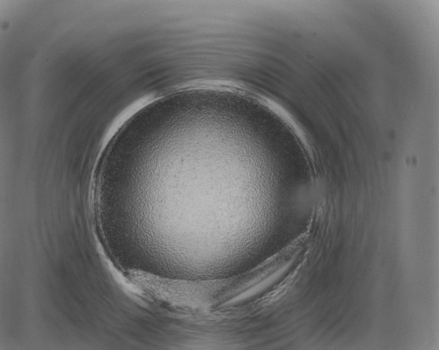 X0000082721050200702091808