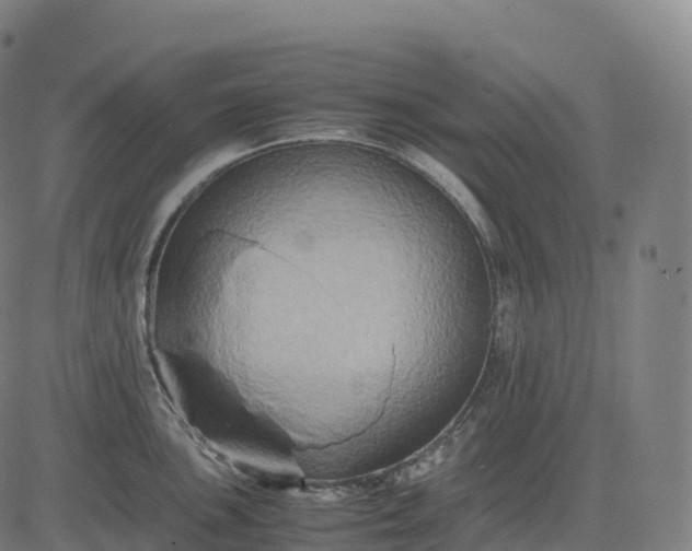 X0000082721051200702091808