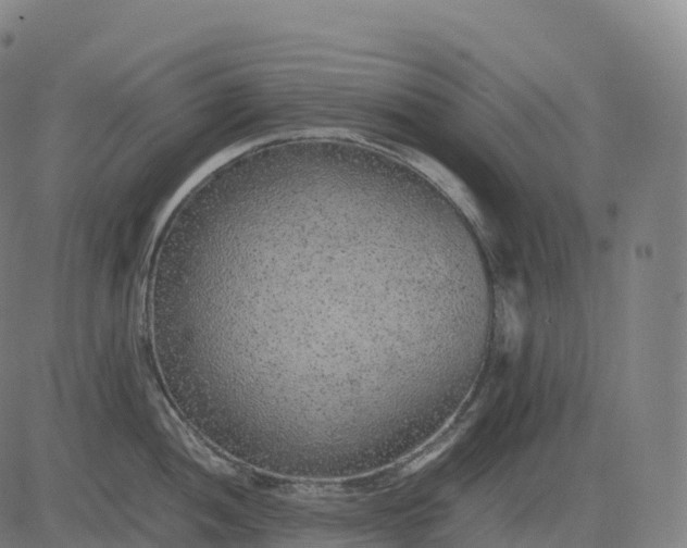 X0000082721052200702091808