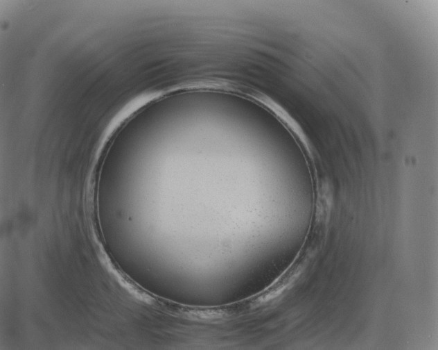 X0000082721053200702091808