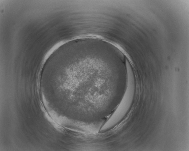 X0000082721054200702091808