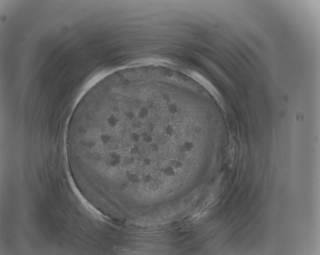 X0000082721055200702091808