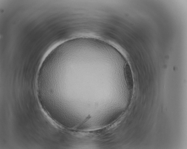 X0000082721056200702091808