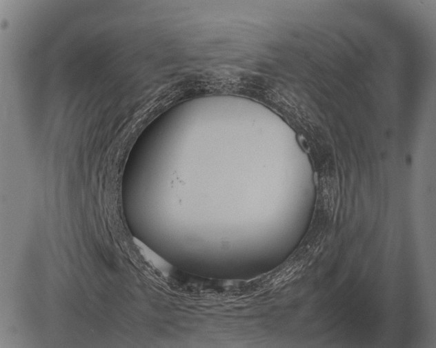 X0000082721057200702091807