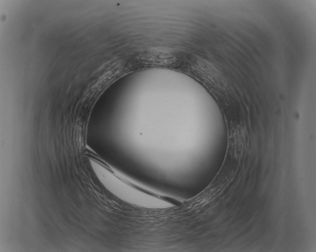 X0000082721058200702091807