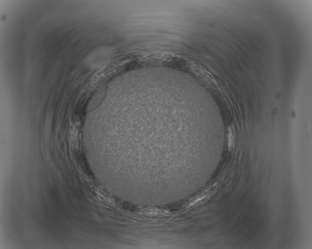 X0000082721059200702091807