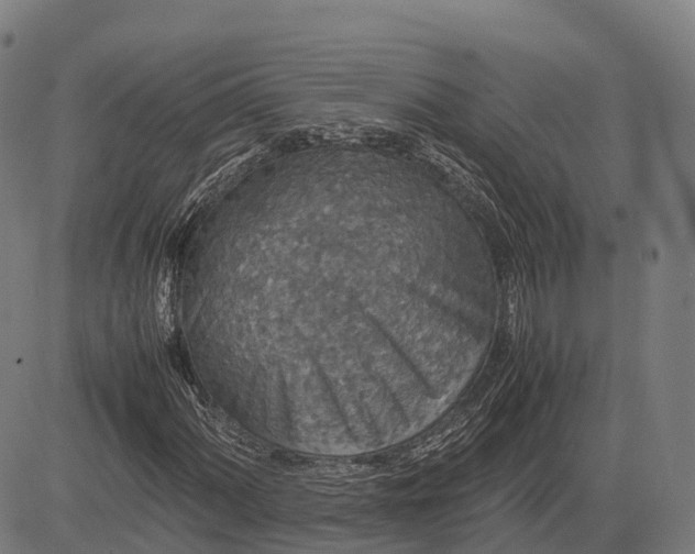 X0000082721060200702091807