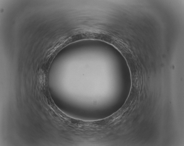 X0000082721061200702091807