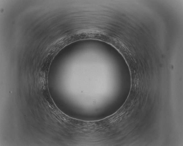 X0000082721062200702091807