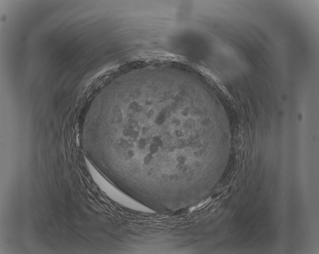 X0000082721063200702091807