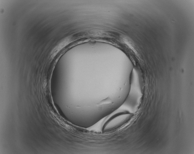 X0000082721065200702091807