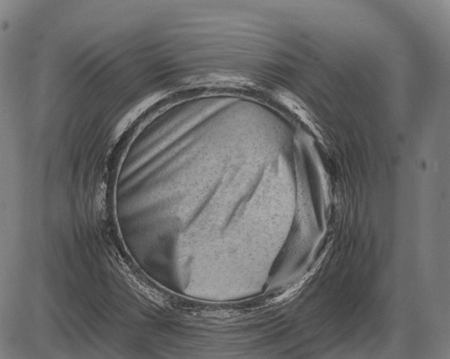 X0000082721066200702091807