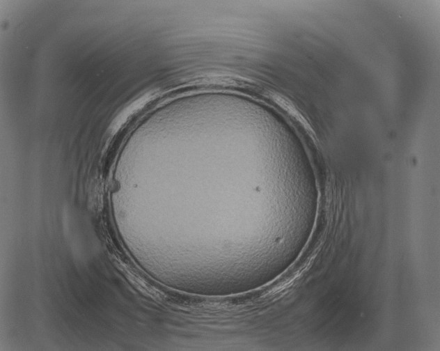 X0000082721067200702091807