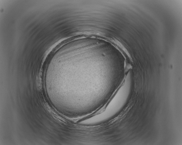 X0000082721068200702091807