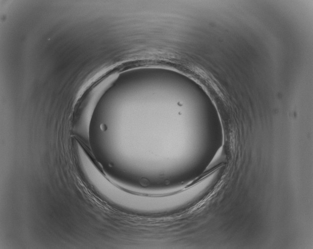 X0000082721069200702091807