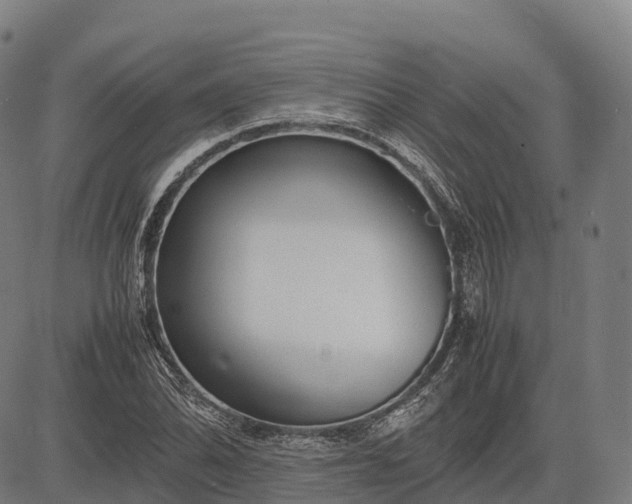 X0000082721070200702091807