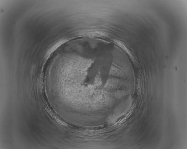 X0000082721071200702091807