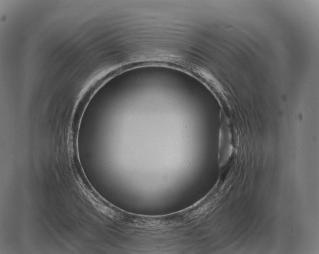 X0000082721072200702091807