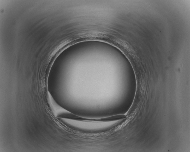 X0000082721073200702091807