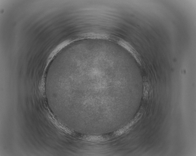 X0000082721074200702091807