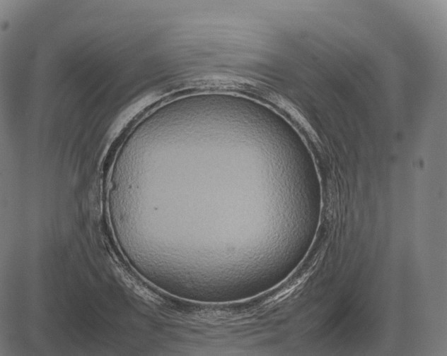 X0000082721075200702091807