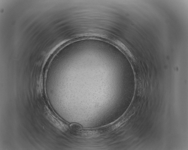 X0000082721076200702091807