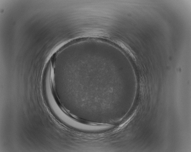 X0000082721077200702091807