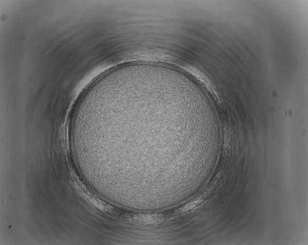 X0000082721078200702091807