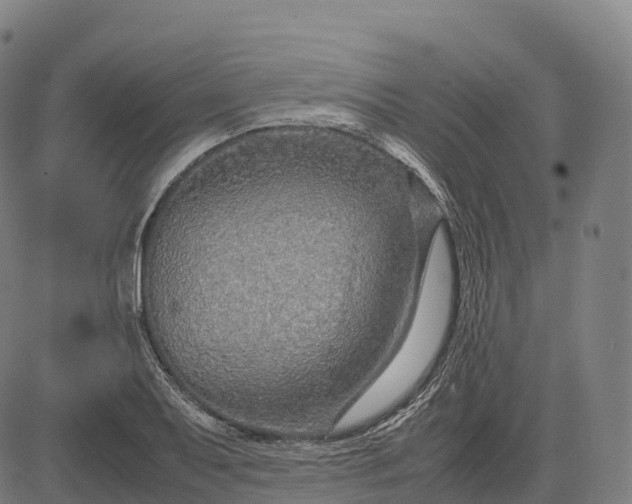 X0000082721079200702091807