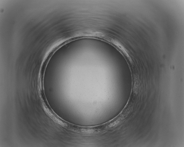 X0000082721080200702091807