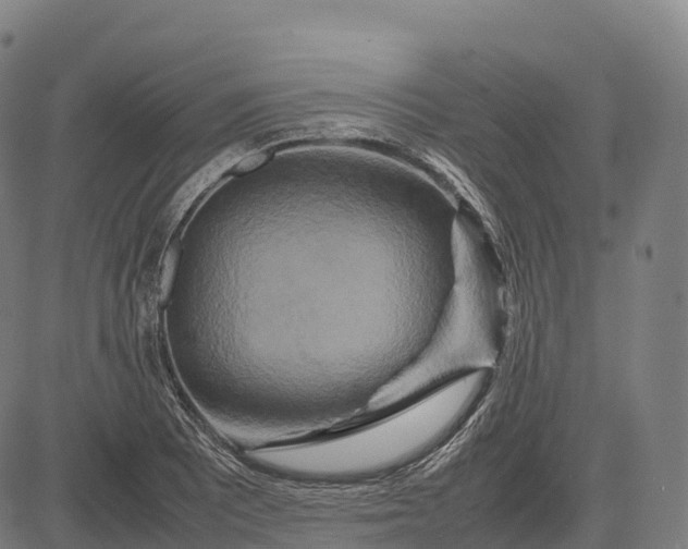 X0000082721081200702091807