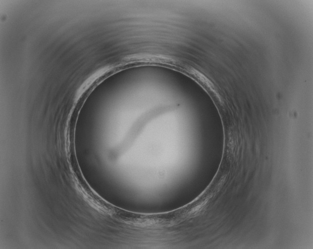 X0000082721082200702091807